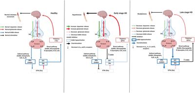 Purinergic Signaling in the Pathophysiology and Treatment of Huntington’s Disease